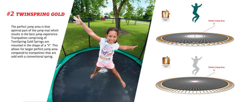 Image of BERG Champion In-Ground Trampoline